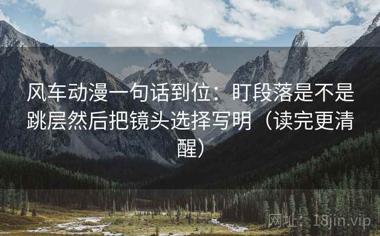 风车动漫一句话到位：盯段落是不是跳层然后把镜头选择写明（读完更清醒）